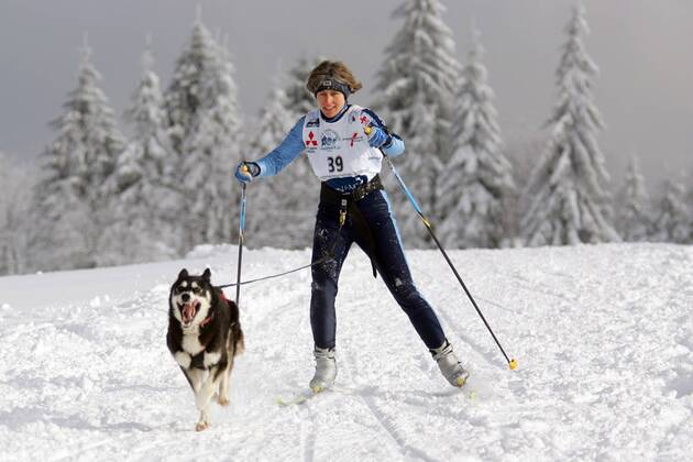 Kristin Jauch